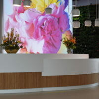 lichtontwerp meubelontwerp: Balie FloriWorld