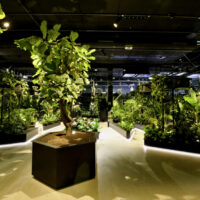 floriworld-interieurontwerp-groenewand-plantenbakken